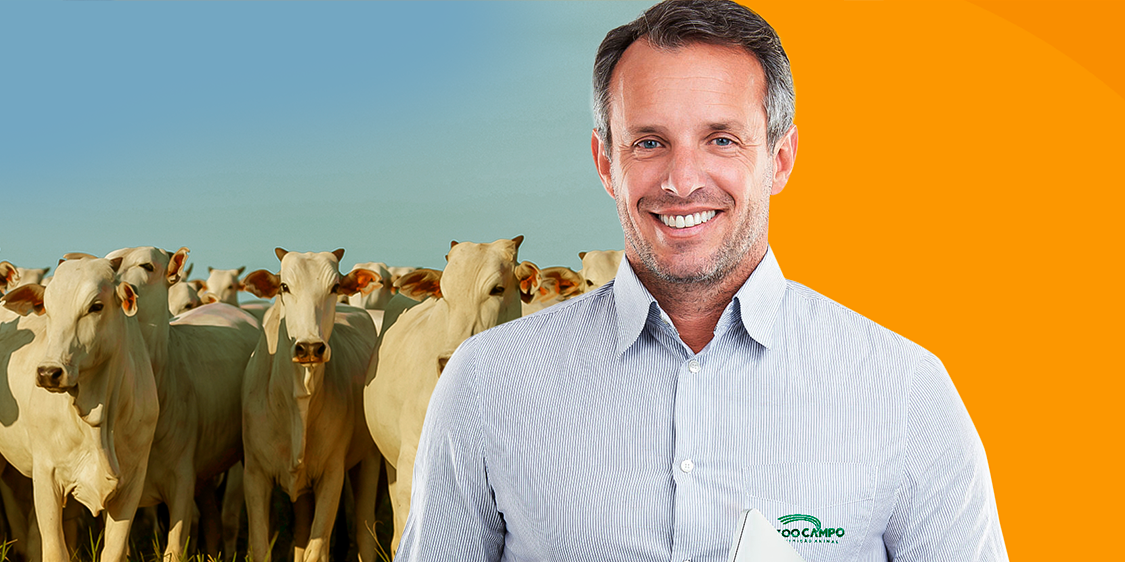 Por Que Escolher A Zoo Campo?