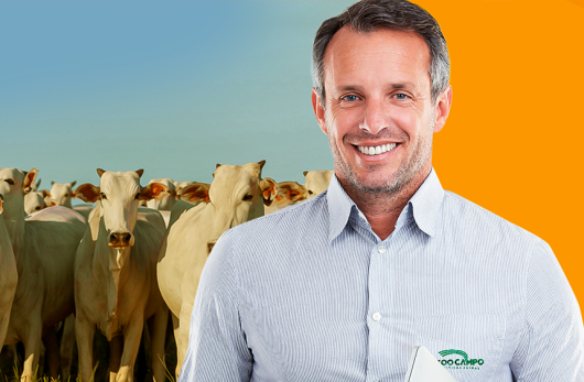 Por Que Escolher A Zoo Campo?